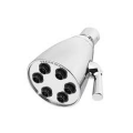 Speakman #S-2252 Chrome 6-Jet Anystream Showerhead