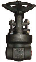 Vogt #12111 2in 800# A105 Forged Gate Valve - FNPT - PHWarehouse.com