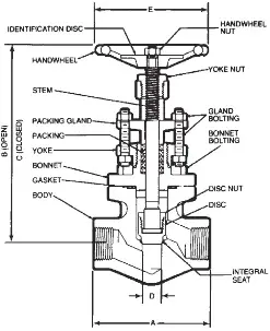 Vogt #12501 1in Class 800 Stainless Steel 316 Forged Globe Valve - FNPT