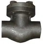 Vogt #15701 2in 1500# A105 Forged Piston Check Valve - FNPT