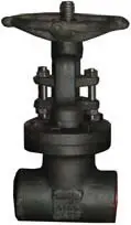 Vogt #SW13111 3/4" 800# A105 Forged Full Port Gate Valve - Weld