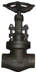 Vogt #SW13141 1in 800# A105 Forged Globe Valve - Weld