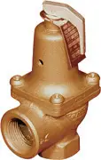 Watts Valves #0276050 1-1/4" ASME Hot Water Boiler Relief Valve (FNPT Inlet x Outlet - Drain) 125LB 174A