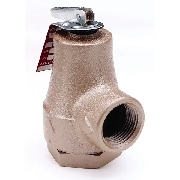 Watts Valves #0358553 3/4" Iron Body with Bronze Inlet (FNPT Inlet x Outlet) 30LB 374A