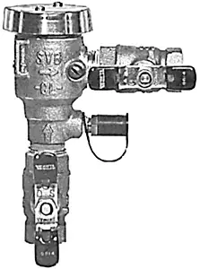 Watts Valves #0385423 1/2" Anti-Spill, Anti-Siphon Vacuum Breaker (FNPT) 008PCQT