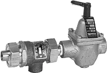 Watts Valves #0386462 1/2" Combination Backflow Preventer (9D) and Fill Valve (1156F) for Hot Water Boilers - 1/2" B911S-M3