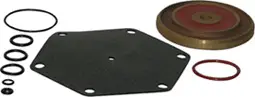 Watts Valves #0887141 1-1/4" Repair Kits for Series 909 1-1/4" to 2" RK-909-RV