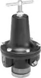 Watts #R119-02C 1/4" Standard Regulator High Flow