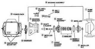 Bell & Gossett #P04890 Body Gasket for 2" & HV