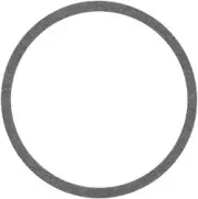 Bell & Gossett #P48690 Body Gasket for Series 80