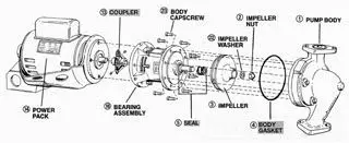 Bell & Gossett #P57700 Body Gasket for Series 80