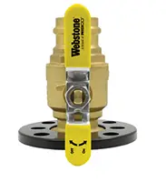 Webstone #H-81407HV-RF400 2in Press 4-Bolt ISO Flange Valve w/ Purge