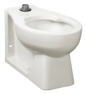 American Standard #3313001.020 Huron Universal Bowl EverClean Bed Pan Lugs ADA
