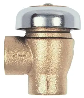Apollo #3810401 3/4in Atmospheric Vacuum Breaker Rough Brass - AVB1