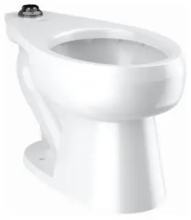 Sloan #2102029 17in White Vitreous China Elongated ADA Floor-Mount Water Closet