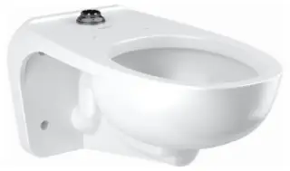 Sloan #2172459 1.6 GPF Wall-Hung Water Closet ST-2459-STG SloanTec Glaze