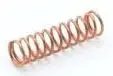 T&S Brass #001479-45 Spring for Eterna Cartridge