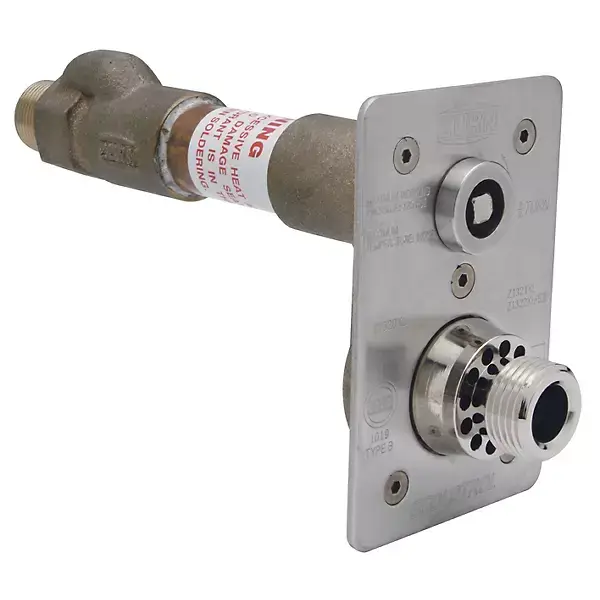 Zurn #Z1321XL-6 6" Ceramic Disk Wall Hydrant