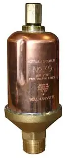 Hoffman #401488 3/4" x 1/2" Model 79 Water Main Vent Valve - Straight Shank