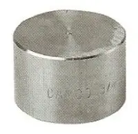 2" - Forged Steel 3000# Socket Cap