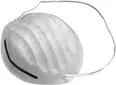 #G30-021 Dust Masks